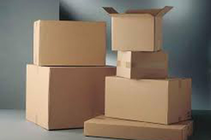 Caja de empaque